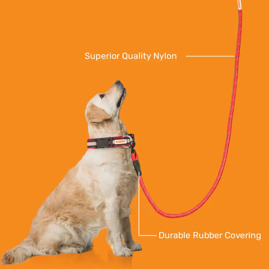 Reflective Rope Leash, Red