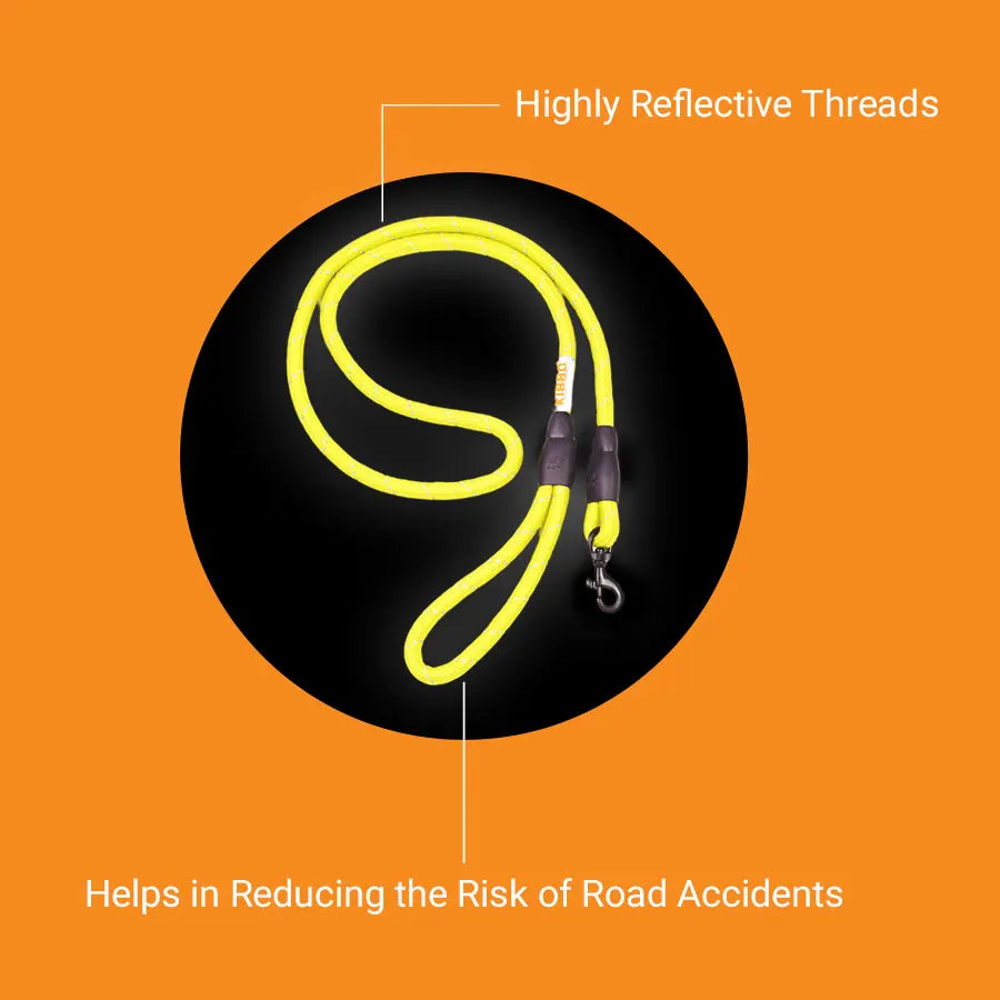 Reflective Rope Leash, Yellow