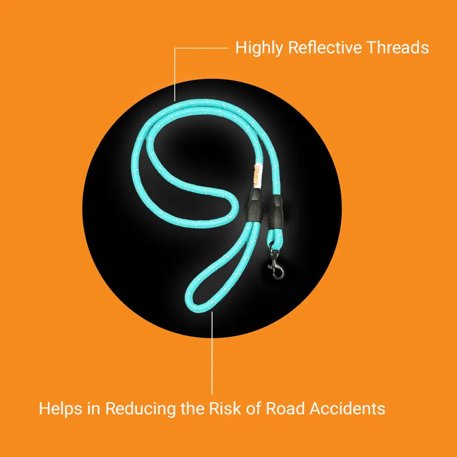 Reflective Rope Leash, Pack1