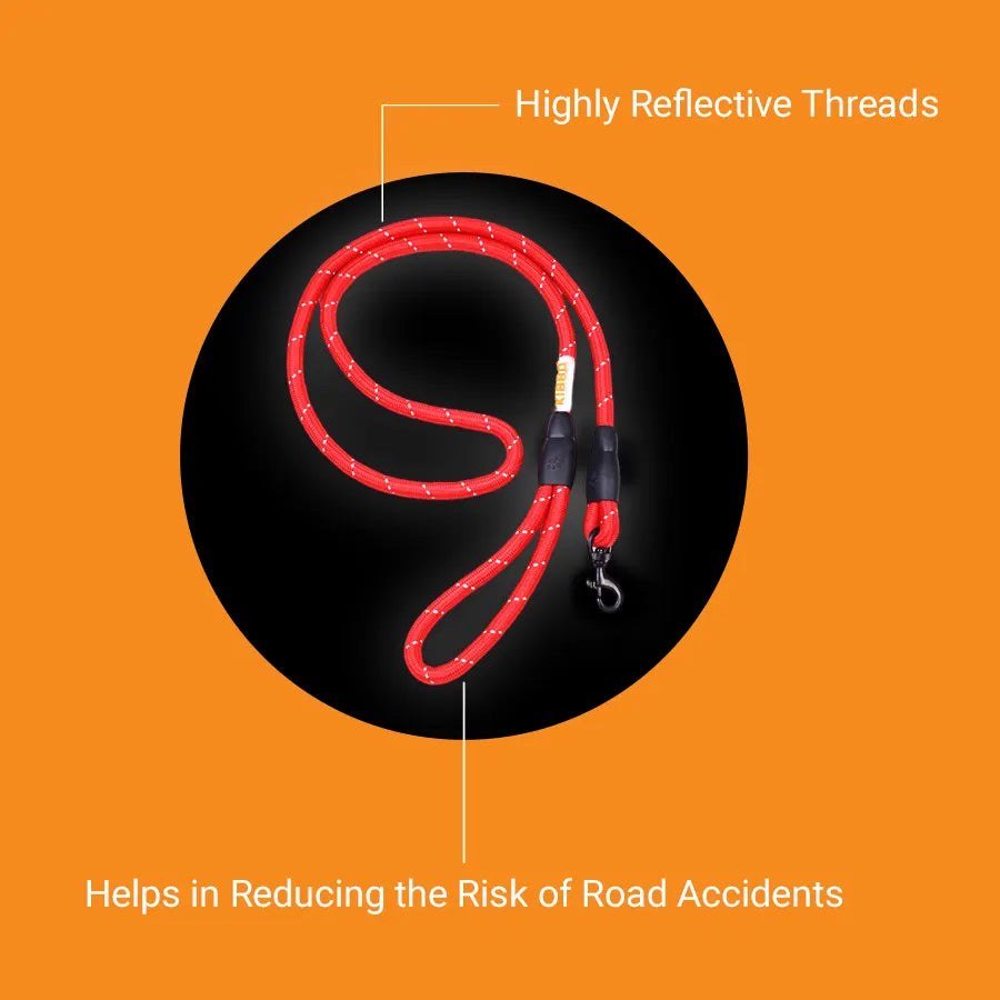 Reflective Rope Leash, Red