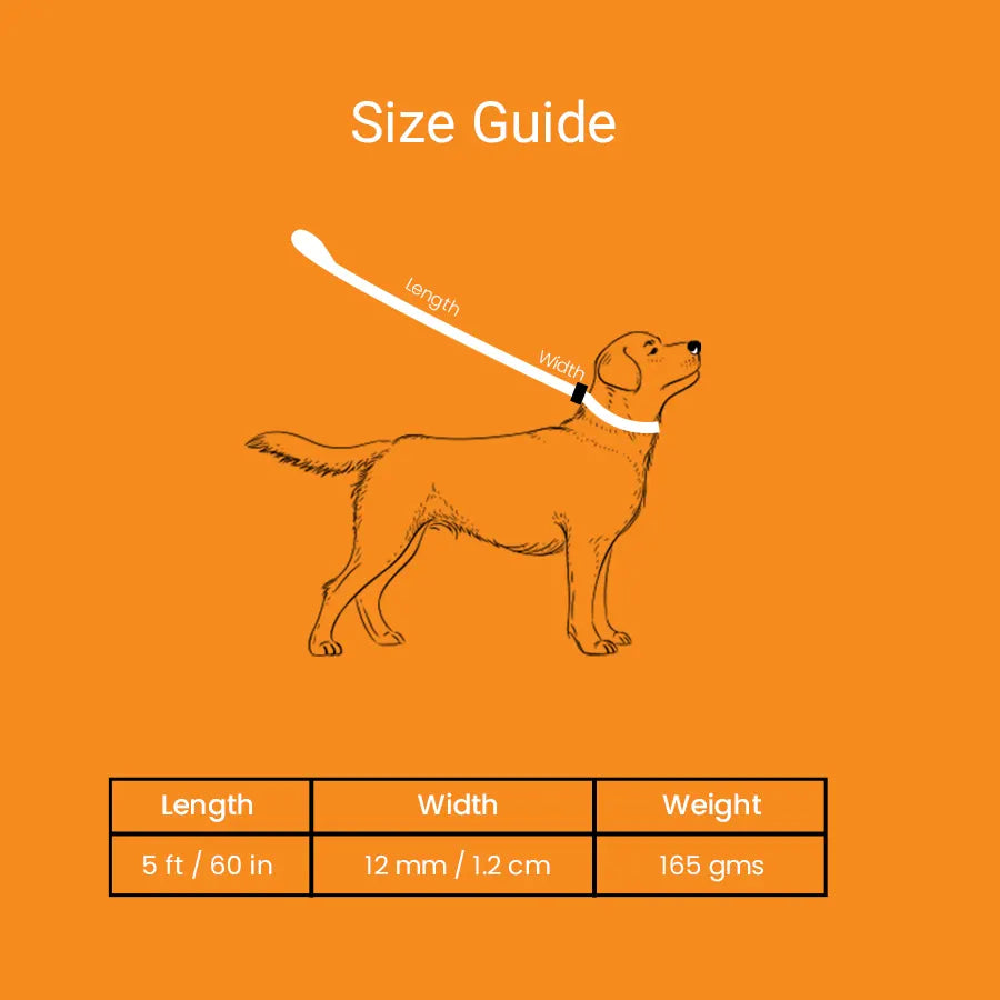 Reflective Rope Leash, Pack1